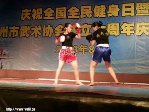《中国功夫》舞蹈视频,揭秘中国功夫舞蹈的韵味与魅力